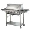 Gas Barbecue Grill